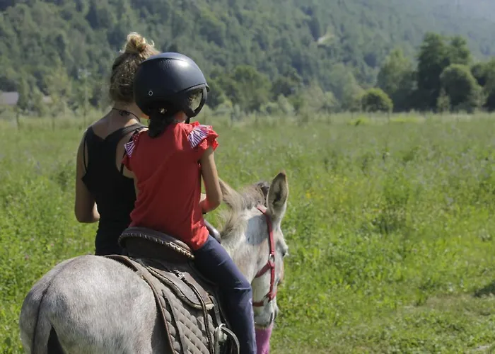 Wolf Village